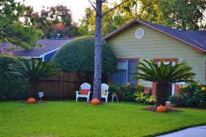 family house