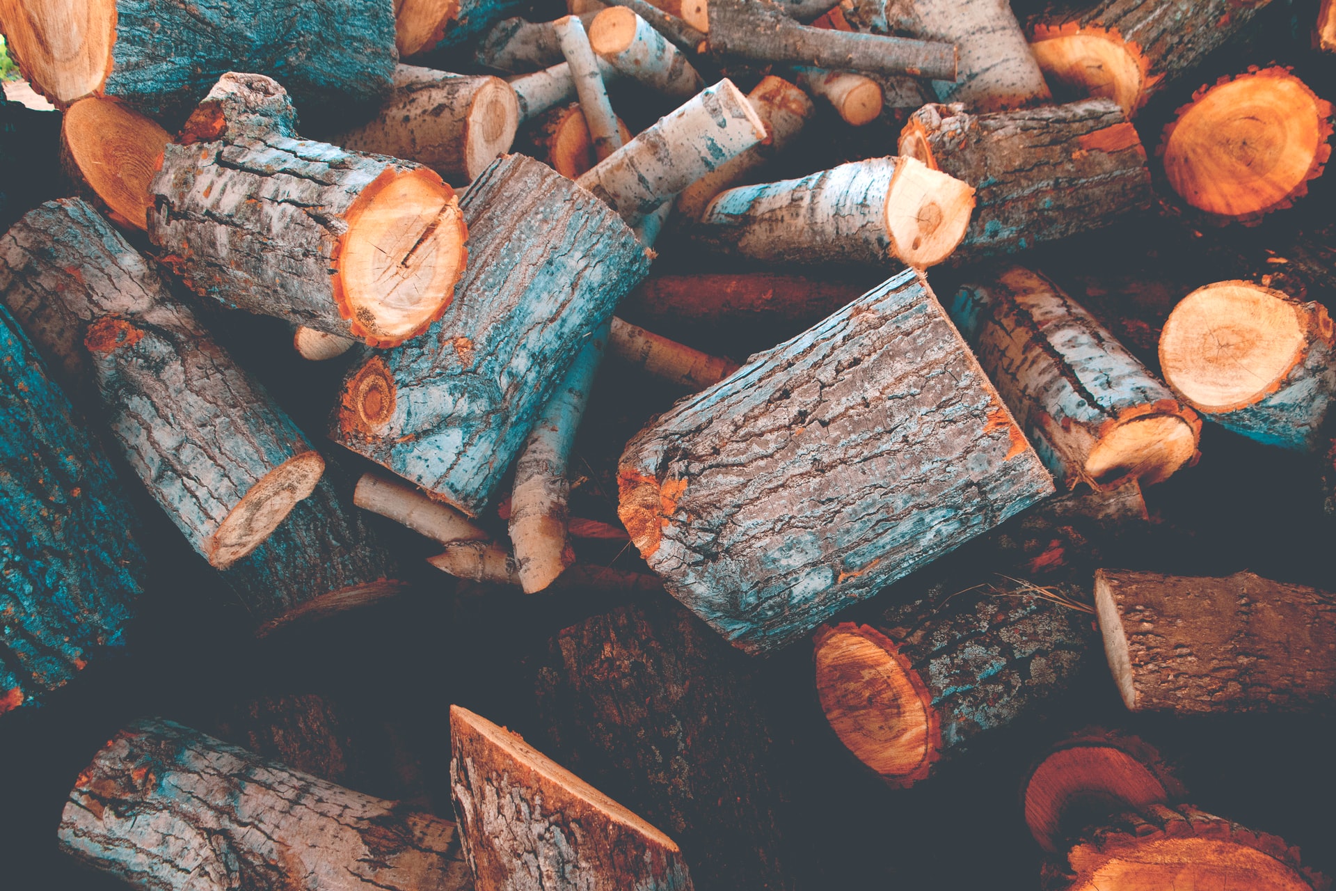 logs